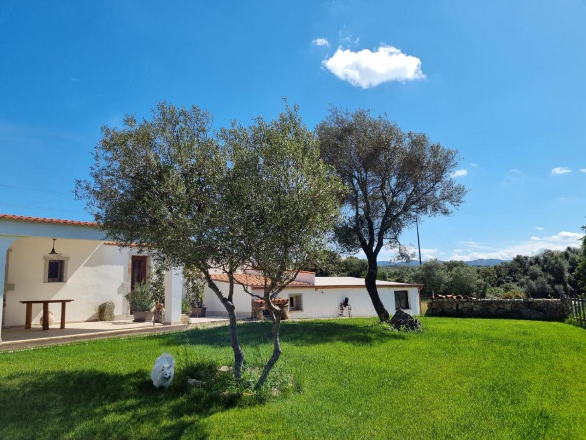 Lu Antu Alloggi Agrituristici Arzachena Exterior foto