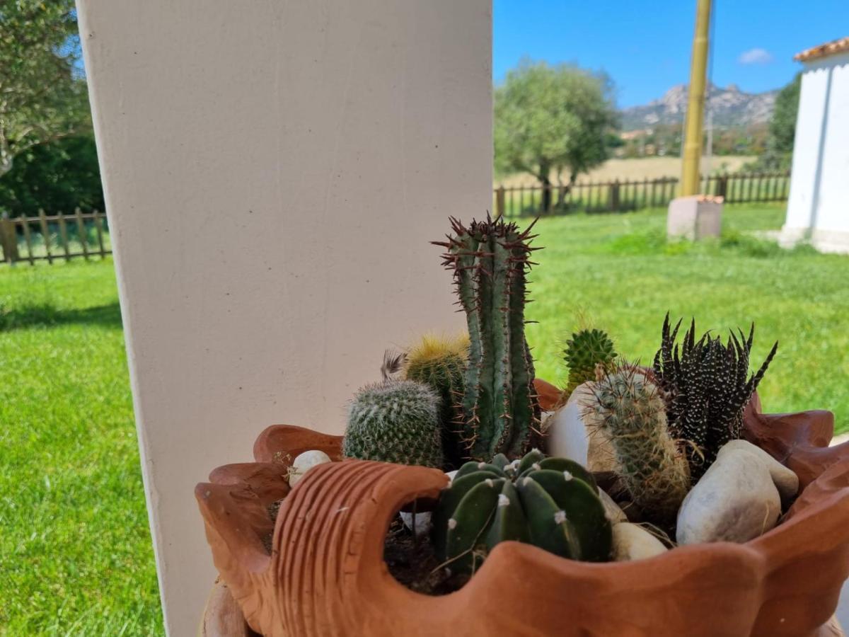 Lu Antu Alloggi Agrituristici Arzachena Exterior foto